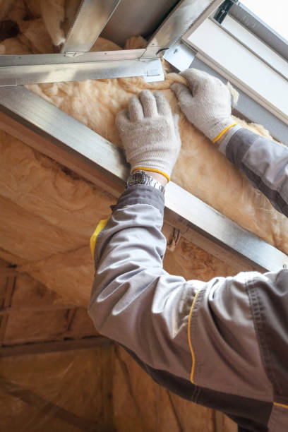 Best Geographic-Specific Insulation Services in El Mirage, AZ
