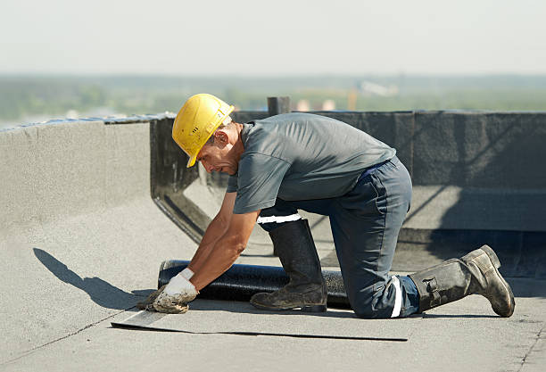Best Residential Insulation in El Mirage, AZ